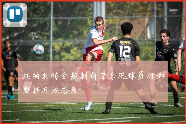 托纳利转会热刺前景乐观球员对加盟持开放态度