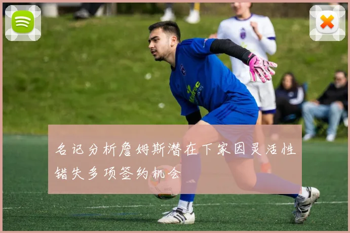 名记分析詹姆斯潜在下家因灵活性错失多项签约机会