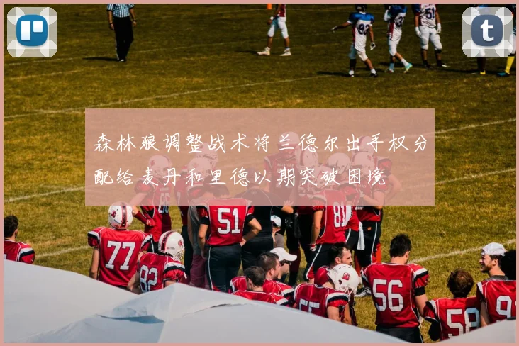 森林狼调整战术将兰德尔出手权分配给麦丹和里德以期突破困境
